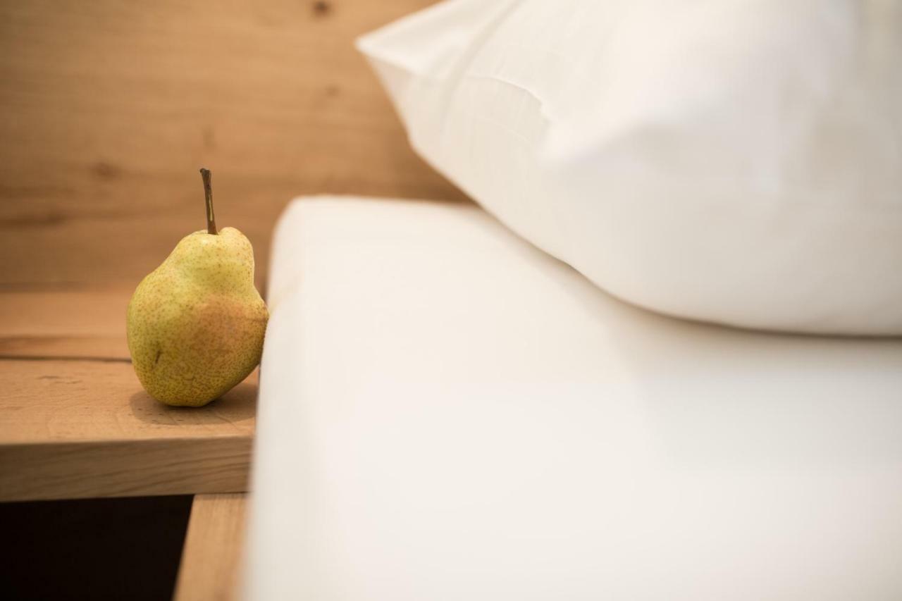 Hotel Appartement Inge ティローロ エクステリア 写真